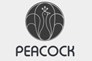 Peacock Servizi Digitali
